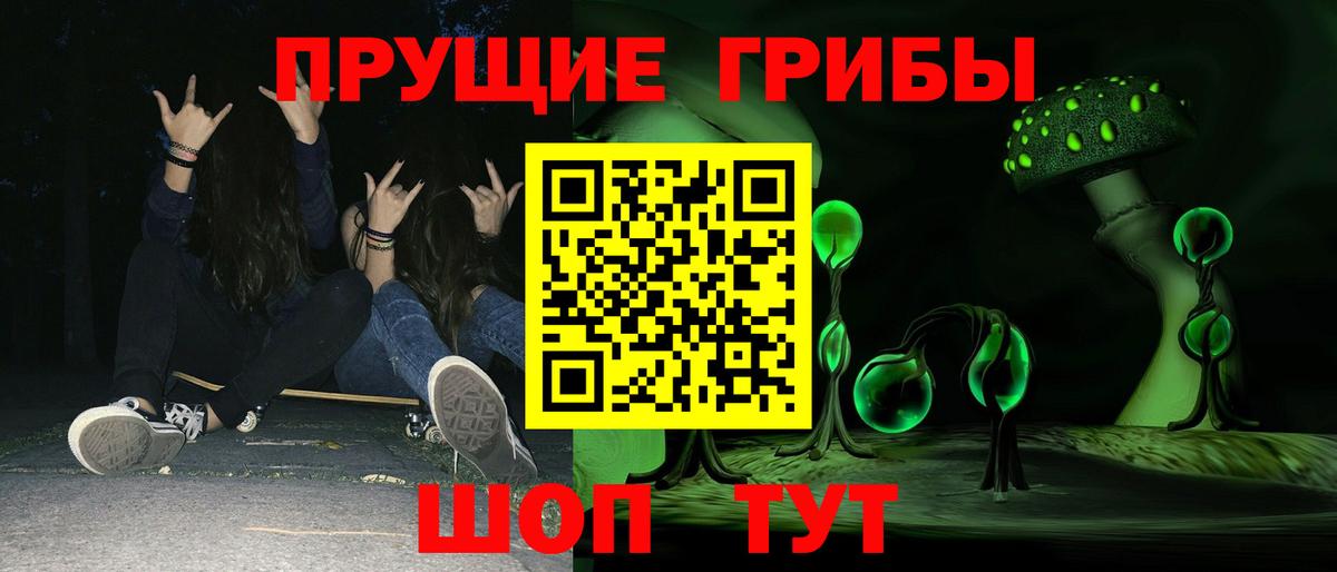 Псилоцибиновые грибы Psilocybe Барнаул
